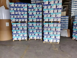 Papel A4 Paperline Gold, Papel para Copiar Tamaño A4, 80 g/m², 5 Resmas - Product Image 2