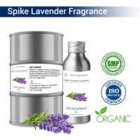Aethon International Spike Lavande Huile Naturelle Soluble Parfum Liquide 100ml pour Femme pour Spa & Relaxation