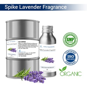 Spike <b>Lavender</b> Fragrance Oil for Spa & Relaxation - Product Image 1