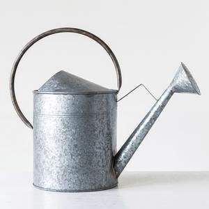 Bidon d'eau galvanisé compact et durable avec poignée et bec pratiques pour des tâches d'arrosage extérieur sans effort - Product Image 6