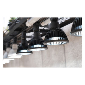 Neo Amateras 20W lampadaire LED de grande qualité design moderne avec tente de croissance des plantes d'intérieur bon pour l'éclairage domestique - Product Image 1