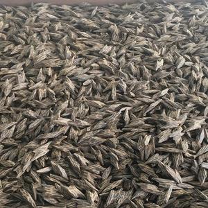 Regalo perfecto para entusiastas de las fragancias Wood Tiger Oud Chips - Product Image 2