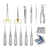 12 pièces ensemble d'extraction dentaire pour petits animaux avec cassette de stérilisation Kit d'élimination des dents vétérinaires pour animaux de compagnie Instrument médical
