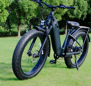 Venta al por mayor 48V 20ah alta velocidad 250W bicicleta de carretera eléctrica 26 pulgadas ciudad con motor de cubo trasero y batería de litio - Product Image 2