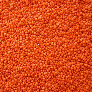 Direct Supply of Premium Quality Organic Dried Lentils Beans Fresh New Crop Bulk Wholesale for Sale - Product Image 3