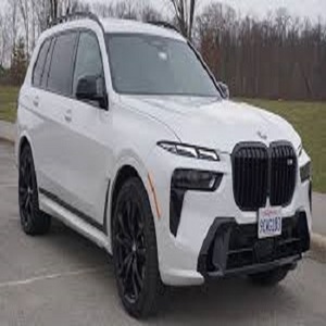 (W&T) BMW X7 M60i Usado del 2023 - Product Image 1