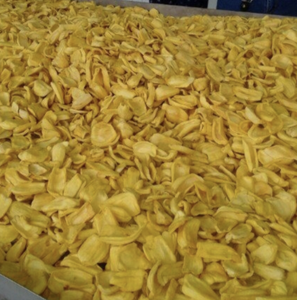 Chips de Jackfruit du Vietnam tropical, fabriquées à partir de coupes de fruits mûrs de qualité supérieure pour des solutions de collation attrayantes et un dessert ou une boisson adaptable - Product Image 6