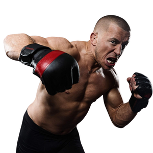 Dolanto Pro Style Half-Finger MMA Sparring Guantes 12oz Guantes deportivos de cuero para hombres y mujeres para gimnasios - Product Image 6