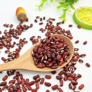 Frijoles Rojos Oscuros Premium, Enteros y Secos, para Chili y Cocina - Rajma Chitra Seca Natural al por Mayor, Nutritiva y Disponible en Línea - Product Image 1