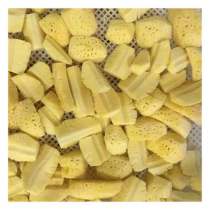 ANANAS CONGELÉ DE VENTE CHAUDE, DIVERS EMBALLAGES D'ANANAS TROPICAUX IQF CONGELÉS DE HAUTE QUALITÉ ET AU MEILLEUR PRIX - Product Image 1