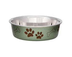 강철 뼈와 발 페인트 애완 동물 개와 고양이 그릇 광택 개 그릇 잘 디자인 된 음식 그릇으로 좋아하는 모피 친구를 치료하십시오