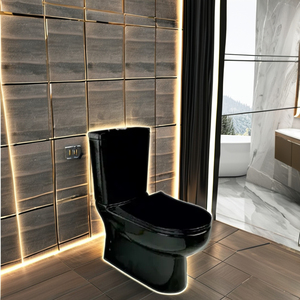 Turc Droplast Slim couverture souple placard suspendu réservoir deux pièces moderne double chasse murale porcelaine WC toilette 3/8 - Product Image 5