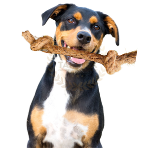 Takimex เชือกมะพร้าวสำหรับสุนัขเคี้ยวของเล่นที่ทนทานเป็นมิตรกับสิ่งแวดล้อม - Product Image 1