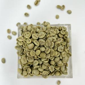 เมล็ดกาแฟอาราบิก้าสีเขียวจากลัมดง เวียดนาม ปลูกในพื้นที่ที่มีความหนาแน่นสูง ผลผลิตสดใหม่ จัดจำหน่ายจำนวนมาก บริการติดฉลากสินค้าภายใต้แบรนด์ของลูกค้า - Product Image 1