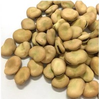 Haricots secs 100% naturels (haricots larges) |   En coquille et pelé |   Fournisseur d'exportation en gros