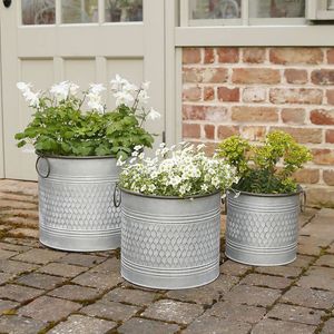 Jardinière en seau galvanisé de ferme avec patine rustique finie pour la décoration de fleurs de maison ou de porche élégante - Product Image 4