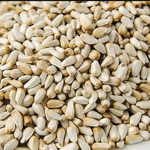 เมล็ดดอกคำฝอยสำหรับสกัดน้ำมันและให้อาหารนกปริมาณน้ำมันสูง - Product Image 3