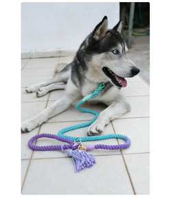 12mm Double Ombre Rope <b>Leash</b> <b>Pet</b> Supplies Accessory Customized Colored Cotton Rope Handmade Dog <b>Leash</b> <b>Pet</b> <b>Leash</b> Set - Product Image 2