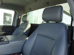 Ford F-150 XL d'occasion 2021 - Product Image 5