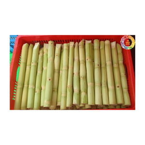 อ้อยแช่แข็งสำหรับน้ำผลไม้จากเวียดนาม - Product Image 6