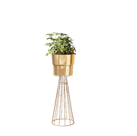 Support de plante rond en métal de qualité supérieure, finition dorée, taille et couleur personnalisables, durable, écologique, design moderne pour la maison, le bureau, le jardin