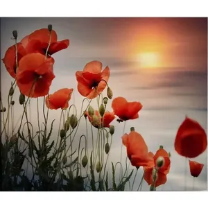 Impression sur toile Fida Red Poppies at Sunset - Product Image 6