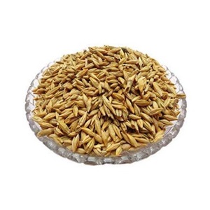 Semillas de cebada Premium/Cebada de alimentación animal/Granos de cebada a granel Grano de malta de cebada malteada a la venta Grado superior - Product Image 6