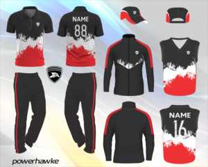 Prohawke conjunto completo de uniforme de cricket con instalaciones de personalización ropa deportiva uniforme de cricket cuello Jersey y Pantalones - Product Image 3