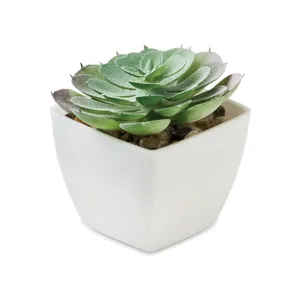 Plante Artificielle Personnalisée Artieche pour la Décoration Intérieure - Product Image 5