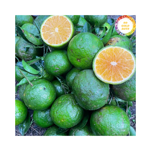 เวียดนามสีเขียวสดผิวส้มที่อัดแน่นอยู่ในผิวสีเขียวสดส้มเหมาะสำหรับตลาดผลไม้สมูทตี้และการใช้ในการทำอาหาร - Product Image 5