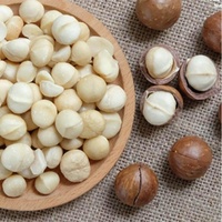 Precio competitivo estándar internacional VENTA SUPERIOR Suministro de Vietnam KERNEL DE MACADAMIA ASADO Saludable Suministro a granel