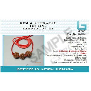 Arihant Gems Jewels - Perlas Naturales Certificadas Saraswati Bandh Marrones, 2 Perlas de 4 Mukhi/Faces, 1 Perla de 6 Mukhi/Faces, Forma de Bola de Rudraksha, Regalo - Product Image 4
