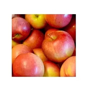 La más alta calidad al mejor precio, suministro directo de manzanas Winesap | Farm Fresh Fuji Gala Apples Bulk Fresh Stock disponible para exportaciones