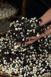 Bourgeons de jasmin parfumés soigneusement séchés pour des mélanges de thé de qualité supérieure - Product Image 5