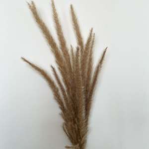 Home <b>Basket</b> Bali Natural Dry <b>Flower</b> Alang Alang - Product Image 1