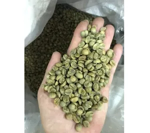 Grãos de café robusta aromáticos, grãos de café verdes do Vietnã feitos no Vietnã, grãos ISO22000 2018 de alta qualidade, 18 bebidas, café torrado