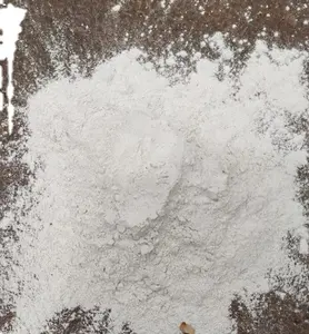 Grande vente à faible coût enduit/non revêtu de carbonate de calcium CaCO3 poudre d'origine du Vietnam