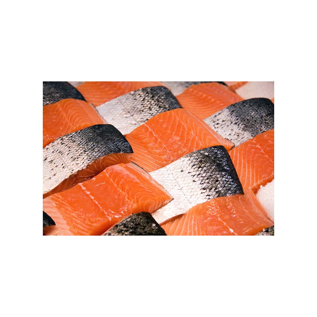 Salmon Skin ideal for crispy seafood snacks and pet treats
