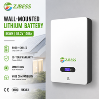 Sistema de Batería de Litio para Energía Solar de 51.2V, LiFePO4, Protección Inteligente BMS, 5KWH 10Kwh, Montaje en Pared, Almacenamiento de Energía Residencial