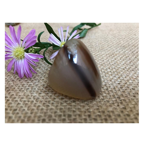 Anillo de dedo de cuerno natural decorativo con anillo de cuerno de búfalo ecológico pulido hecho a mano calidad de exportación más demandada - Product Image 6