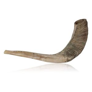 Corne de koudou Shofar Artisanat naturel Instrument de musique juif Animal de la famille des bovidés - Product Image 3