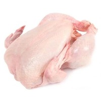 Pollo Entero Congelado Halal, Proceso BQF, Grado de Exportación, Empaque a Granel, Calidad Grado A, Vitaminas, Origen Brasil, 12 Meses de Vida Útil