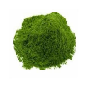 ใบผักชีดิบสำหรับเครื่องเทศและสมุนไพร - Product Image 6