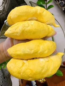 ทุเรียนพรีเมียมสำหรับส่งออก-ผลไม้แช่แข็งเกรดเอจากเวียดนาม เหมาะสำหรับสมูทตี้และไอศกรีม-อายุการเก็บรักษาได้นานถึง 12 เดือน - Product Image 3