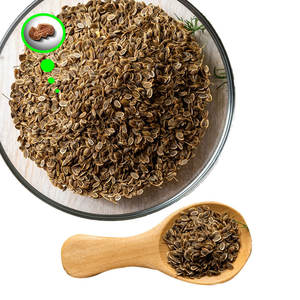 ผักชีลาว | สมุนไพรแต่งกลิ่นสำหรับปลูกในฟาร์มสำหรับคนปรุงรส - Product Image 6