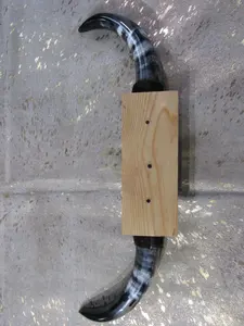 Taureau monté unique fait à la main avec cornes de buffle pour intérieurs rustiques et ethniques pour décor traditionnel et tribal Home Hotel - Product Image 5