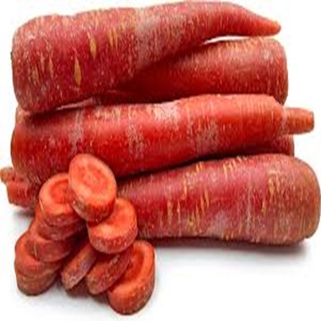 100% Vibrant Orange Color Fresh Carrots Available at Farm Prices