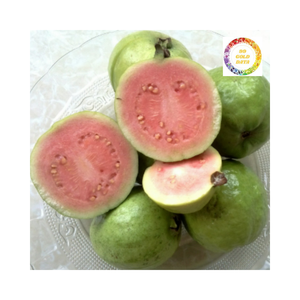 Disfrute de la dulzura tropical de la guayaba congelada que aporta un sabor fresco y refrescante en cada bocado - Product Image 3