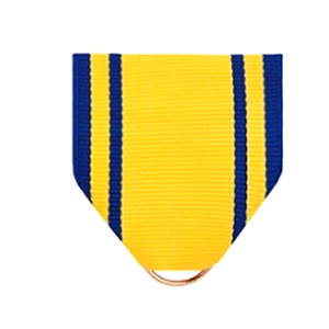 2025 Basic Camp Bold Challenge Instructor Award <b>Ribbon</b> Drape - Product Image 1
