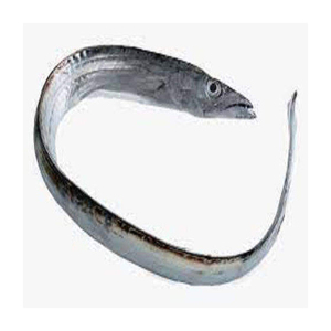 Pescado Fresco de Cinta, Captura Natural, Proteína Saludable - Product Image 3
